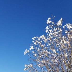 Meet your Posher, Nahye